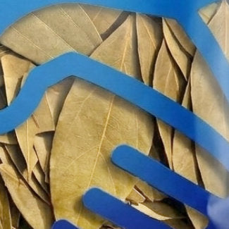 ベイリーフ（月桂樹） BAY LEAF