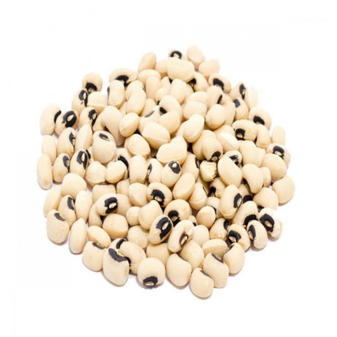 CHAWALA WHITE LOBIA 2