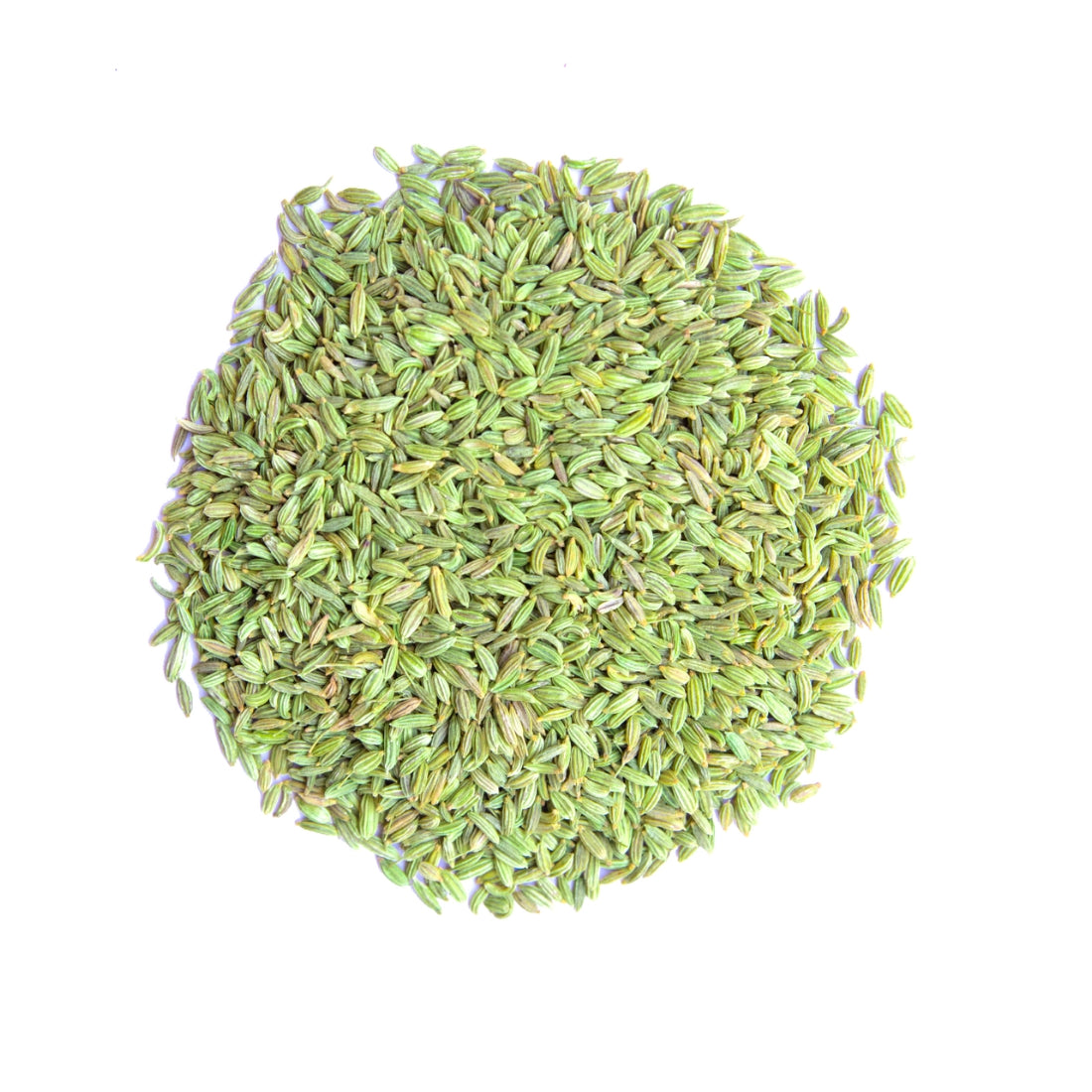 FENNEL SEED-2 (2)