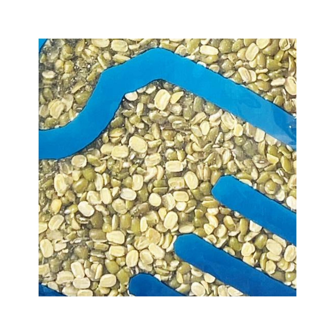 MOONG DAL GREEN SPILIT 2